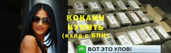 сатива Абдулино